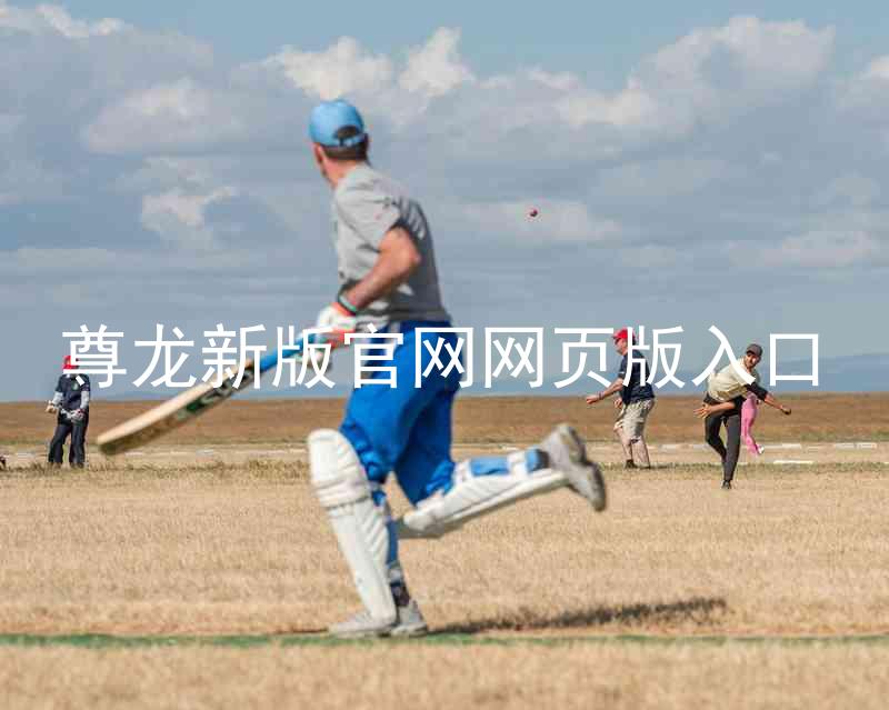 尊龙新版官网网页版入口