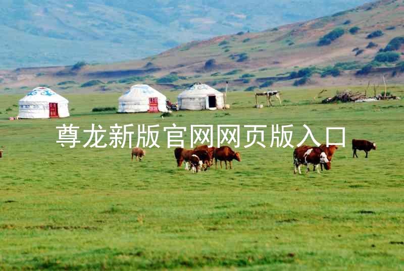 尊龙新版官网网页版入口